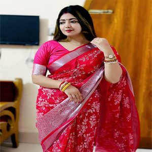 Organza tissue saree